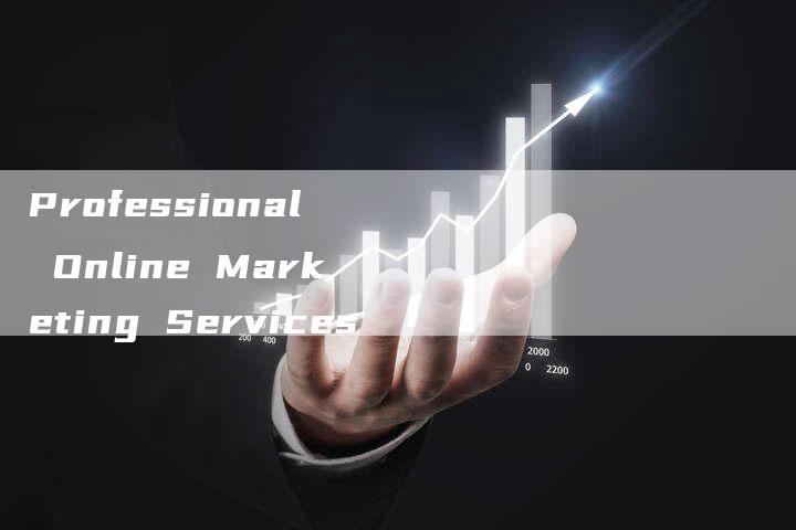 Professional Online Marketing Services